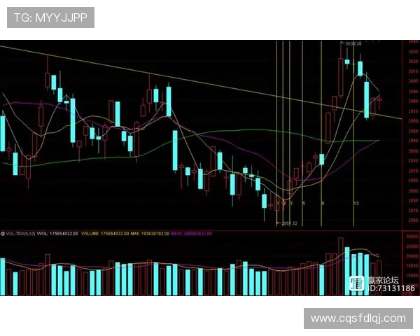 广州羽毛球队与武汉羽毛球队赛后复盘分析比赛节奏与战术对比